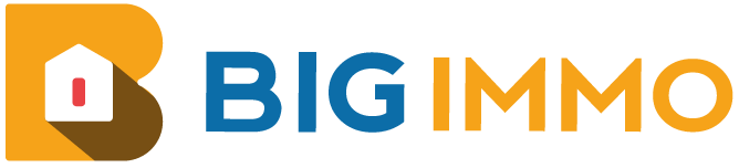 Big Immobilier